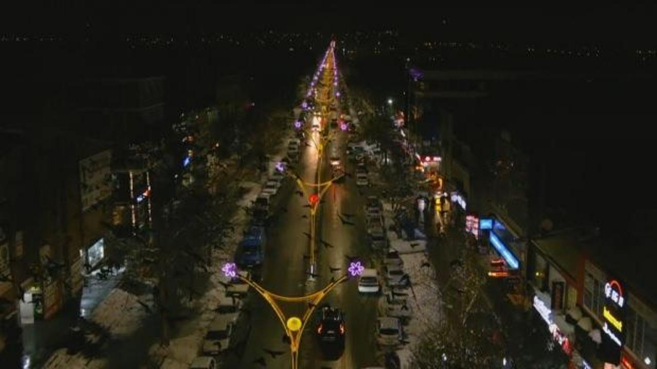 Kenti bastılar! Bu hayvanlar nedeniyle vatandaş yolda bile y&uuml;r&uuml;yemez oldu