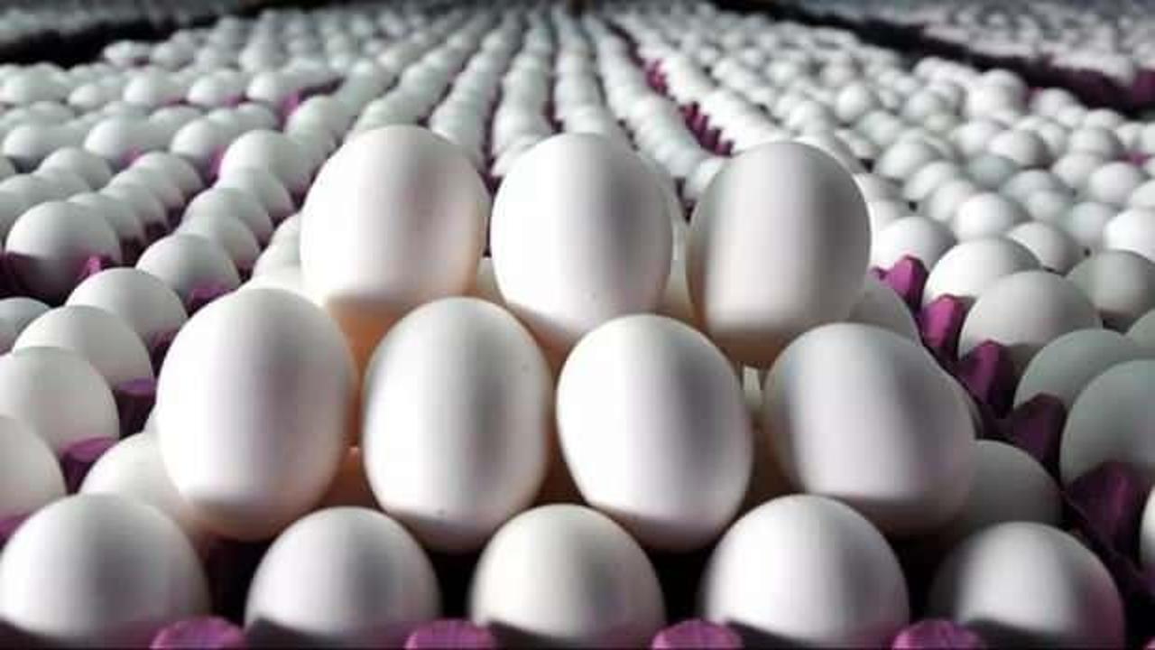 Rusya'nın Türkiye'den ithal ettiği yumurtalar ülkeye ulaştı