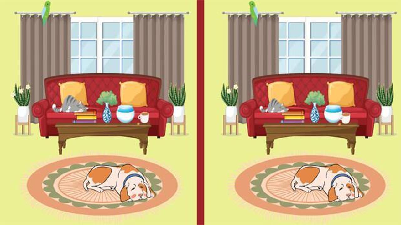 Eğlenirken kendinizi test etmenizi sağlayacak fark bulmaca oyunu: İki resim arasındaki 5 farkı 10 saniyede bulabilir misin?