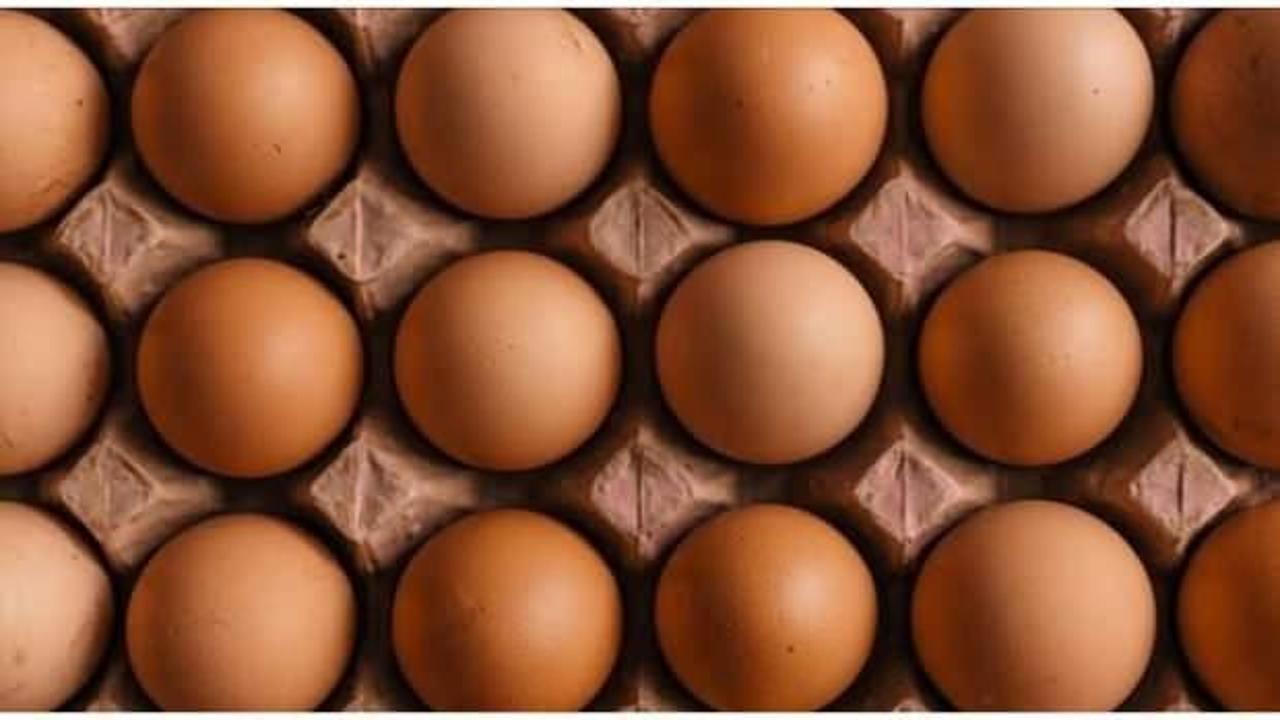 Türkiye'den Rusya'ya 19 tonluk yumurta