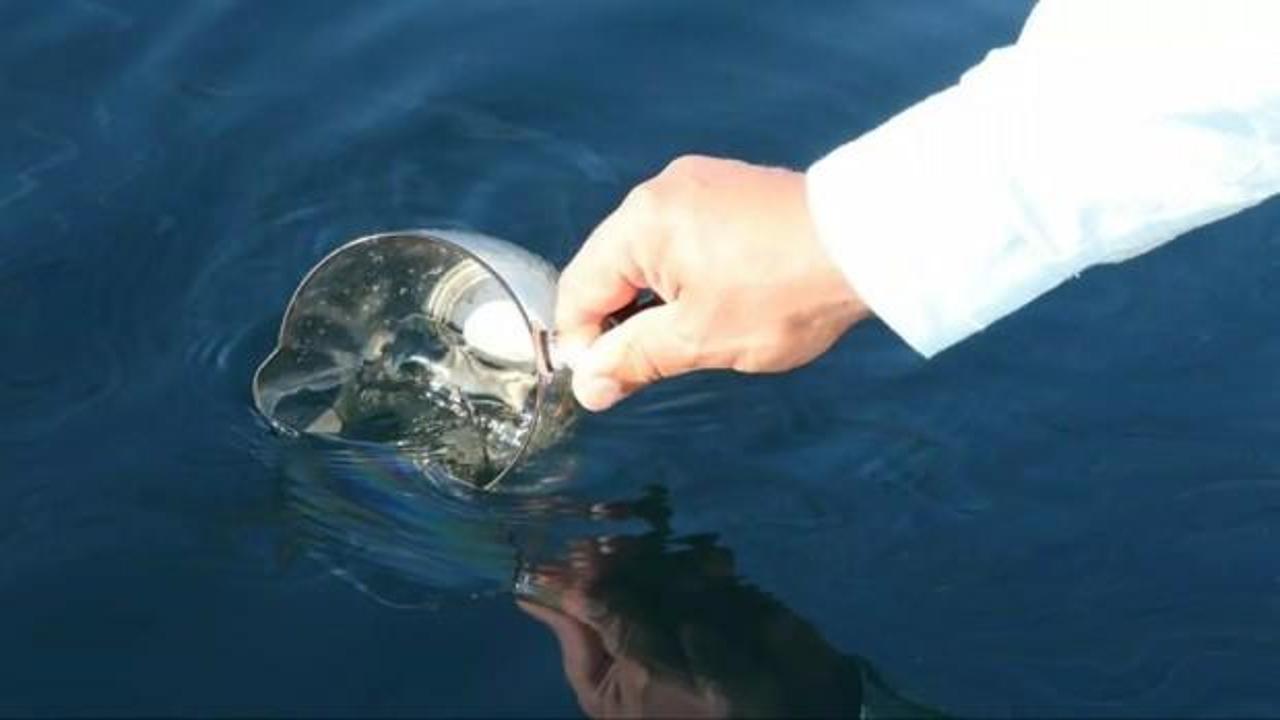 Rize'nin &Ccedil;ayeli il&ccedil;esinde petrol umudu! 