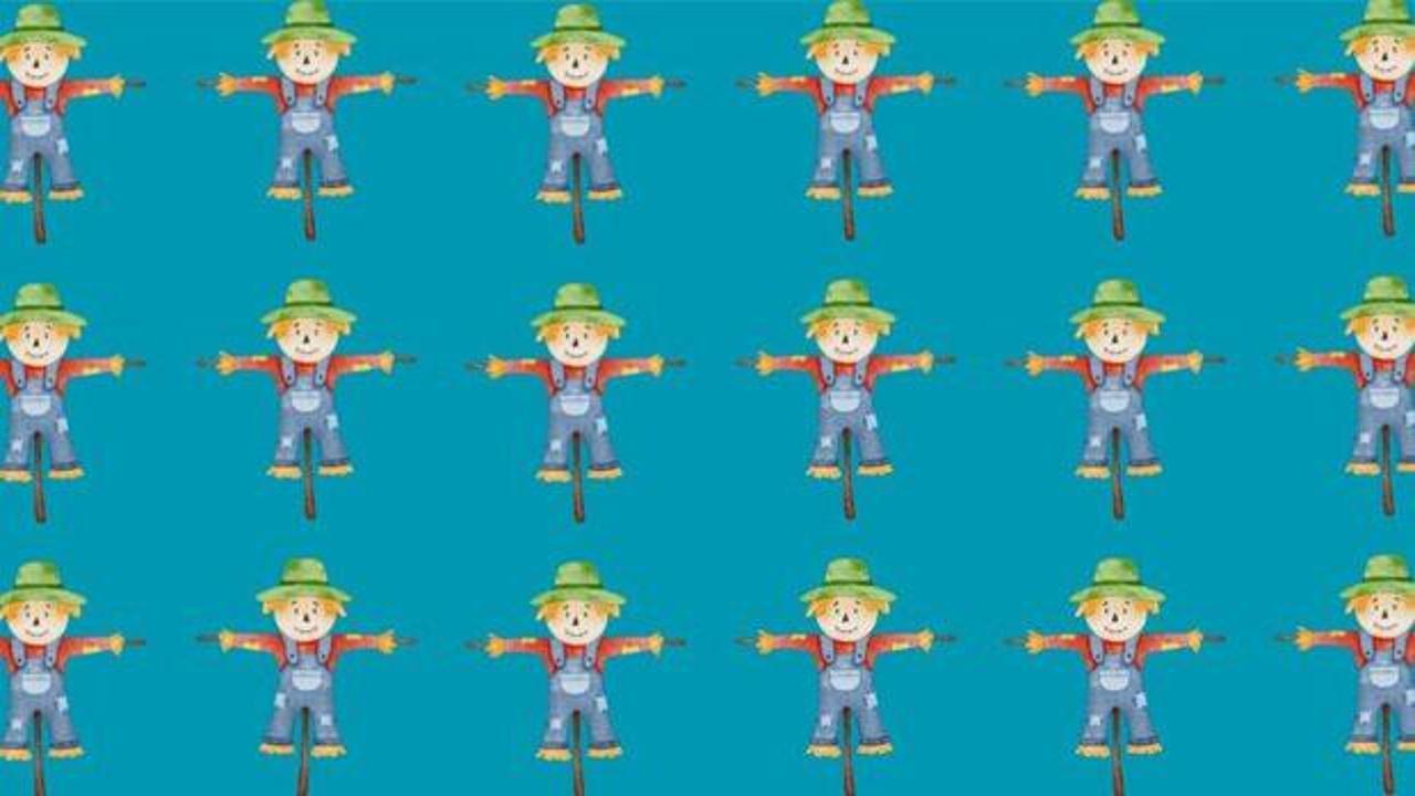 Diğerlerinden farklı olan korkuluğu 7 saniyede tespit edebilir misin? Bu bulmacanın doğru cevabını insanların sadece %3’ü doğru yanıtlayabiliyor