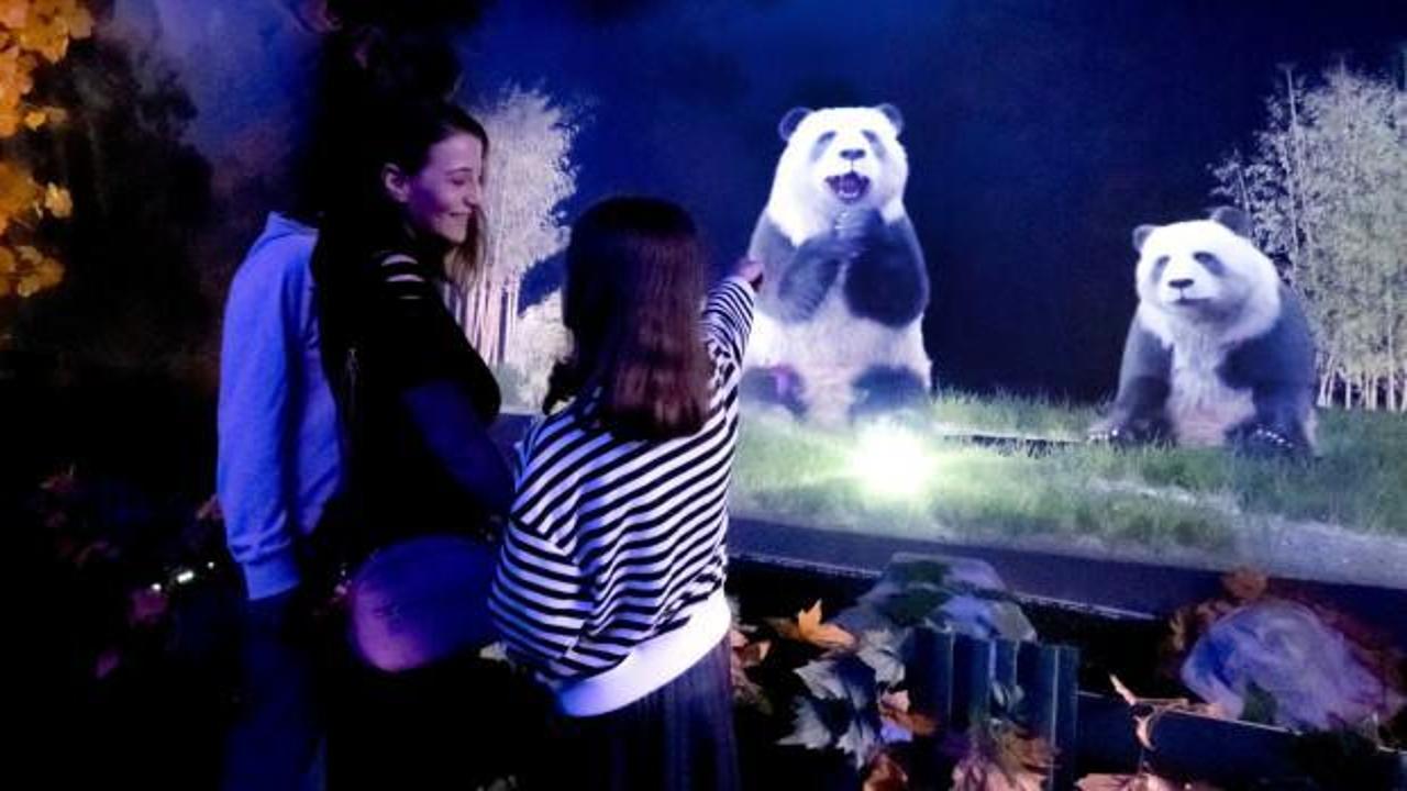 Dinozorlar, T&uuml;rkiye&rsquo;nin ilk holografik eğlence parkı DigiZoo&rsquo;da hayat buluyor