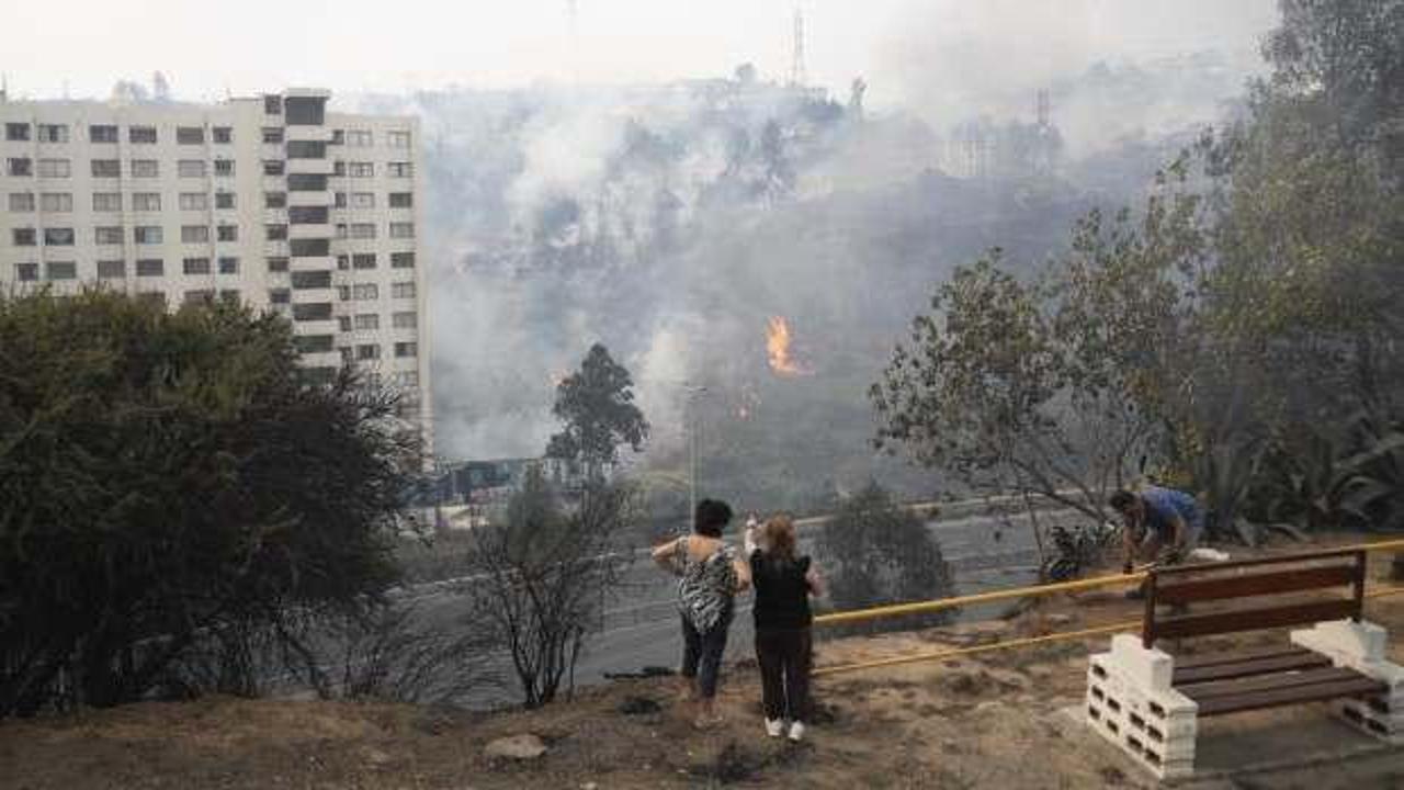 Şili'de orman yangınları: Can kaybı 51'e çıktı