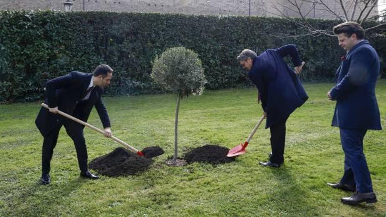 6 Şubat depremlerinde hayatını kaybedenler anısına Vatikan Bahçeleri'ne ağaç dikildi