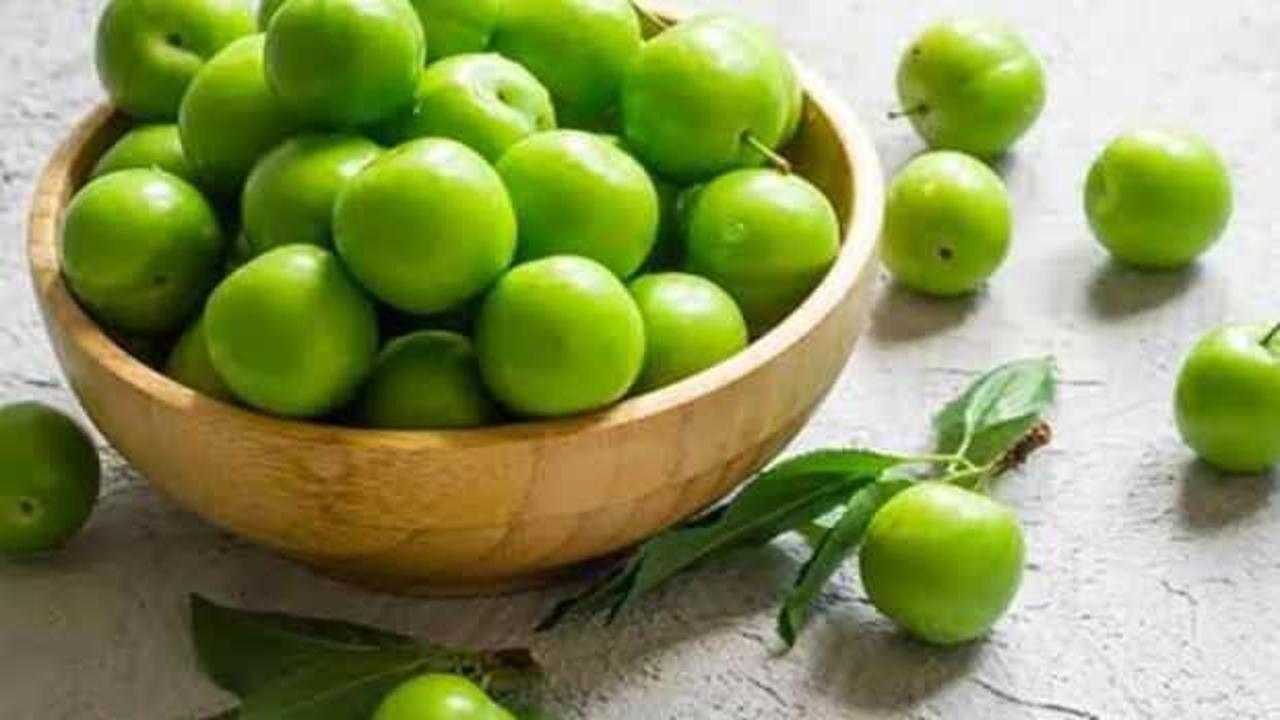 İlk hasadı yapıldı: Erik fiyatı altınla yarışıyor