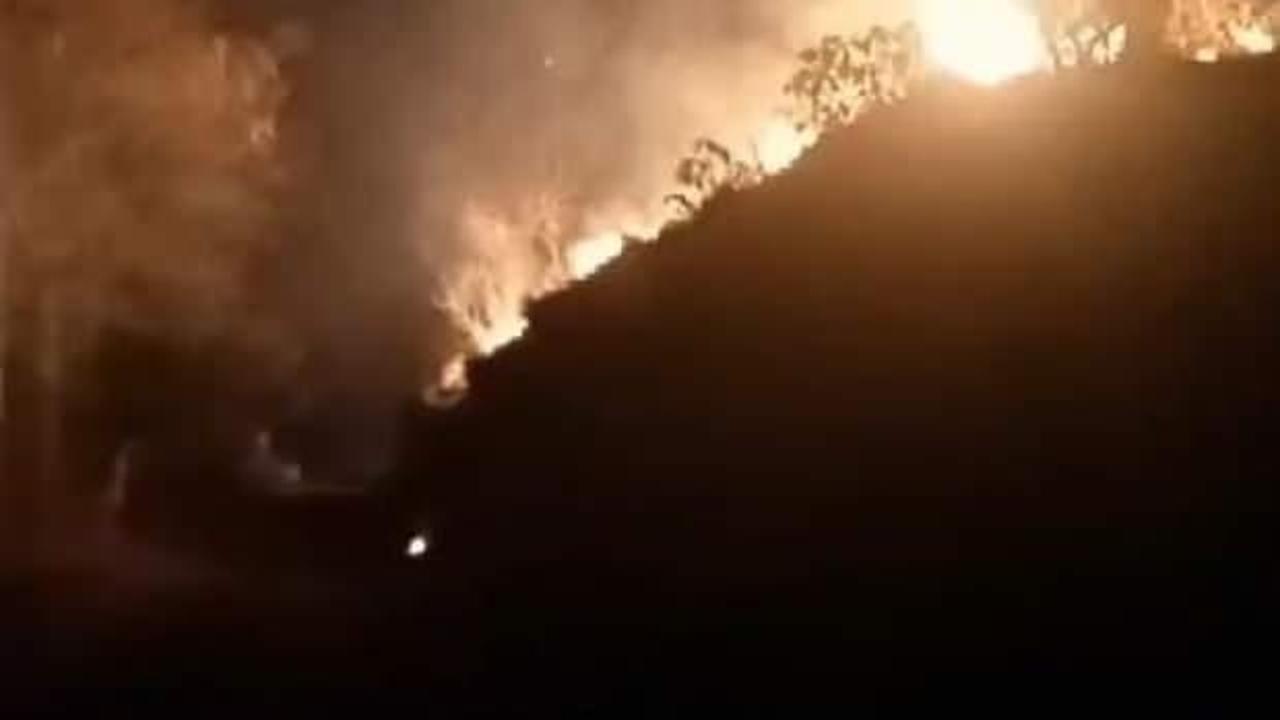 Rize'de orman yangını! 20 dönüm zarar gördü