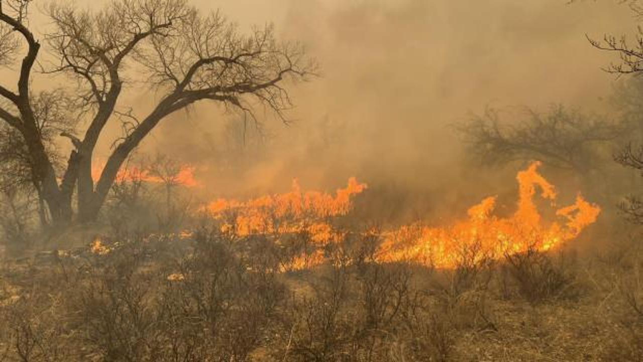 Texas’taki orman yangınlarında itfaiyeciler alevlerin arasında kaldı