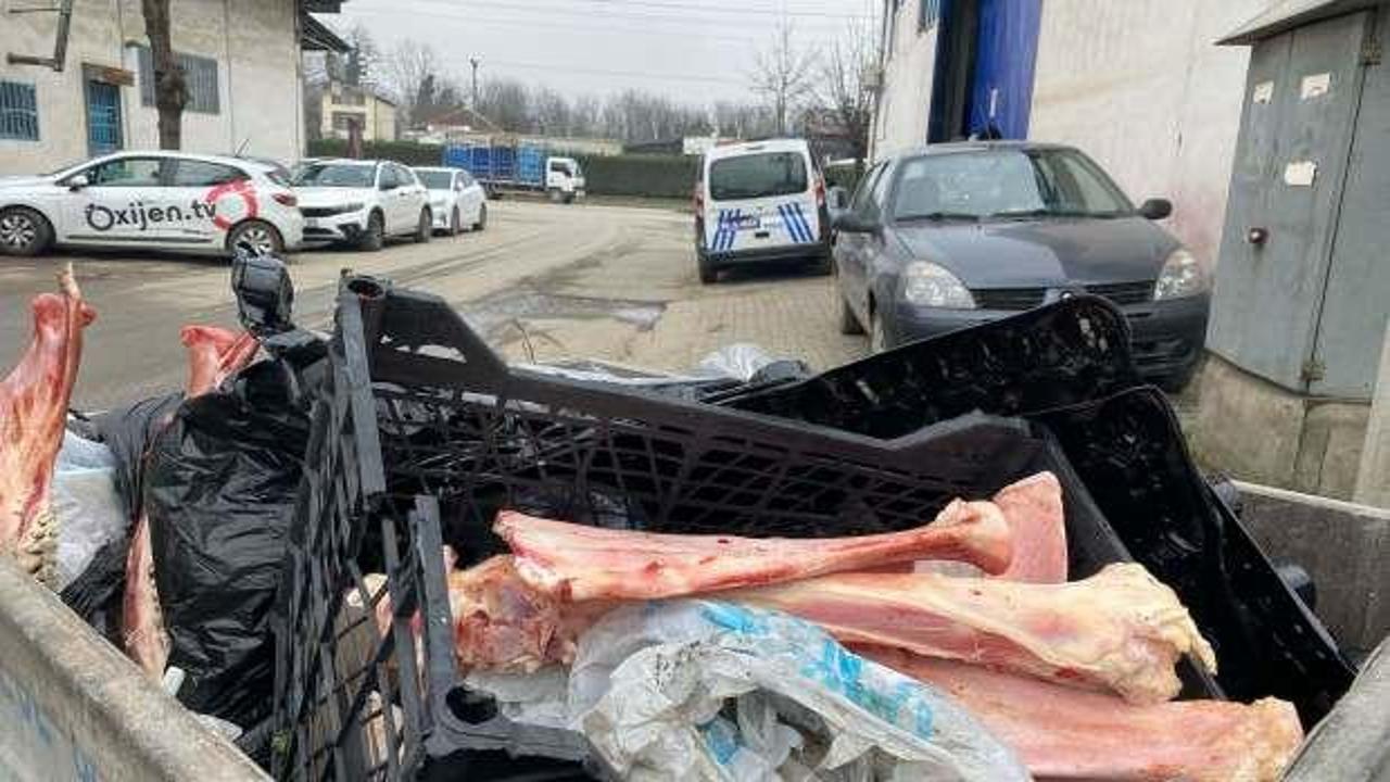 &Ccedil;&ouml;p konteynerinde eti sıyrılmış at kemikleri bulundu