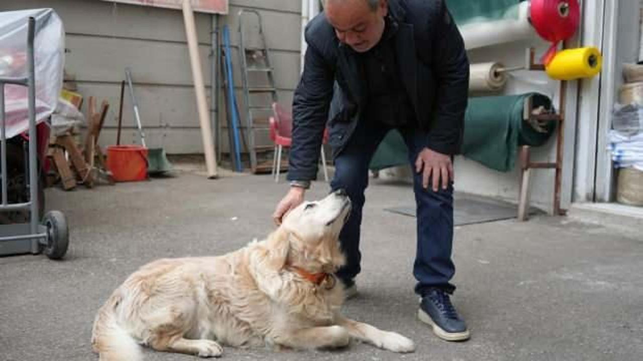 Emsal niteliğinde karar: Köpek sahibine 700 bin lira ceza!