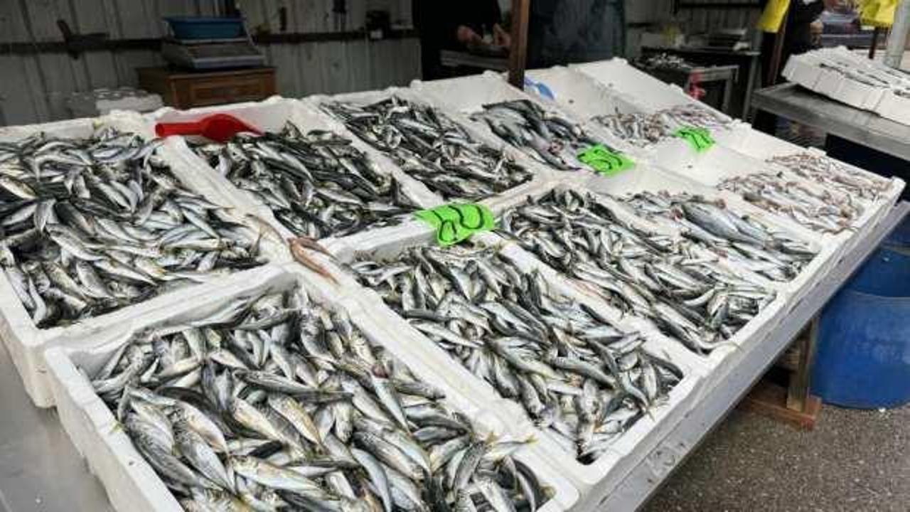 Ramazan'da istavrit ve mezgit yeniden tezgaha &ccedil;ıktı