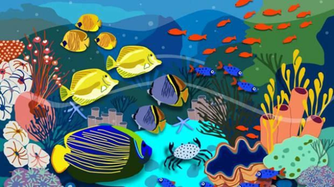 Yalnızca 10/10 bir görüşe sahip olan kişiler resimdeki gizli deniz kabuğunu 7 saniye içerisinde bulabilir