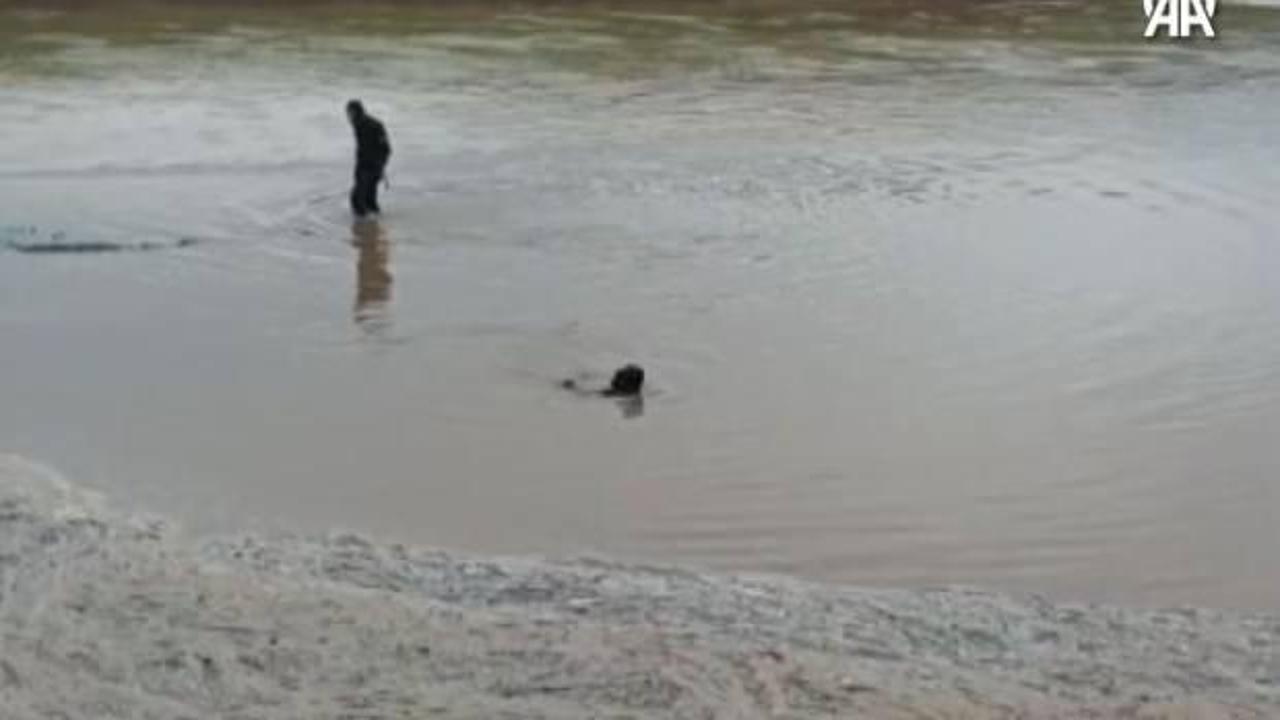 Şanlıurfa'da 13 yaşındaki çocuk sel sularına kapıldı: Arama çalışmaları sürüyor