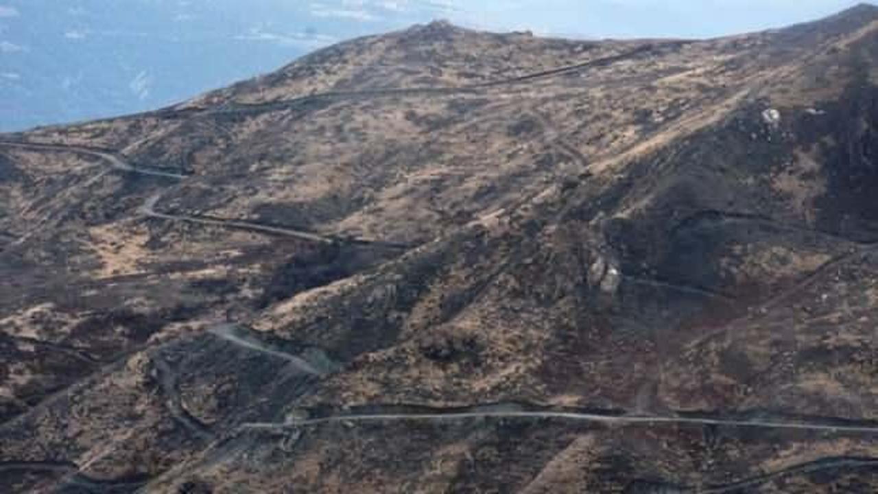 Sinop'ta yangında zarar gören 322,7 hektarlık alan yeniden ağaçlandırılıyor