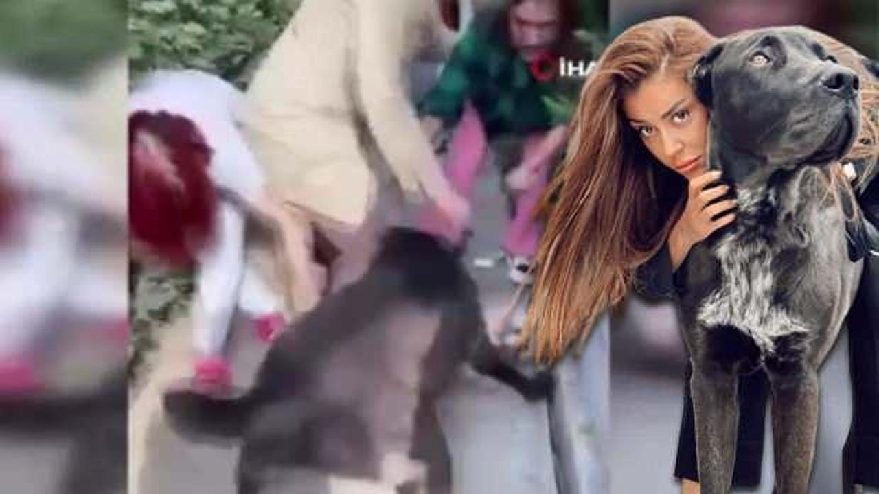 Banu Parlak'ın k&ouml;peği, yavru k&ouml;peği par&ccedil;alayarak &ouml;ld&uuml;rd&uuml;! &lsquo;Sen bir katilsin&rsquo;