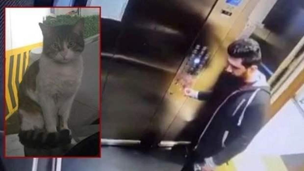 Kedi Eros davasında başsavcılıktan itiraz!  