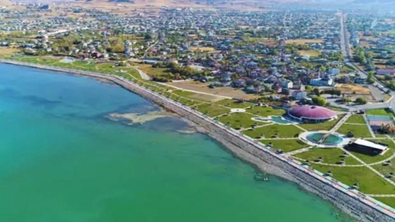 DEM Parti Van'da t&uuml;m il&ccedil;eleri kazandı!