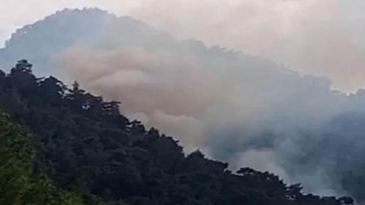 Antalya'da orman yangını! Çok sayıda ekip harekete geçti