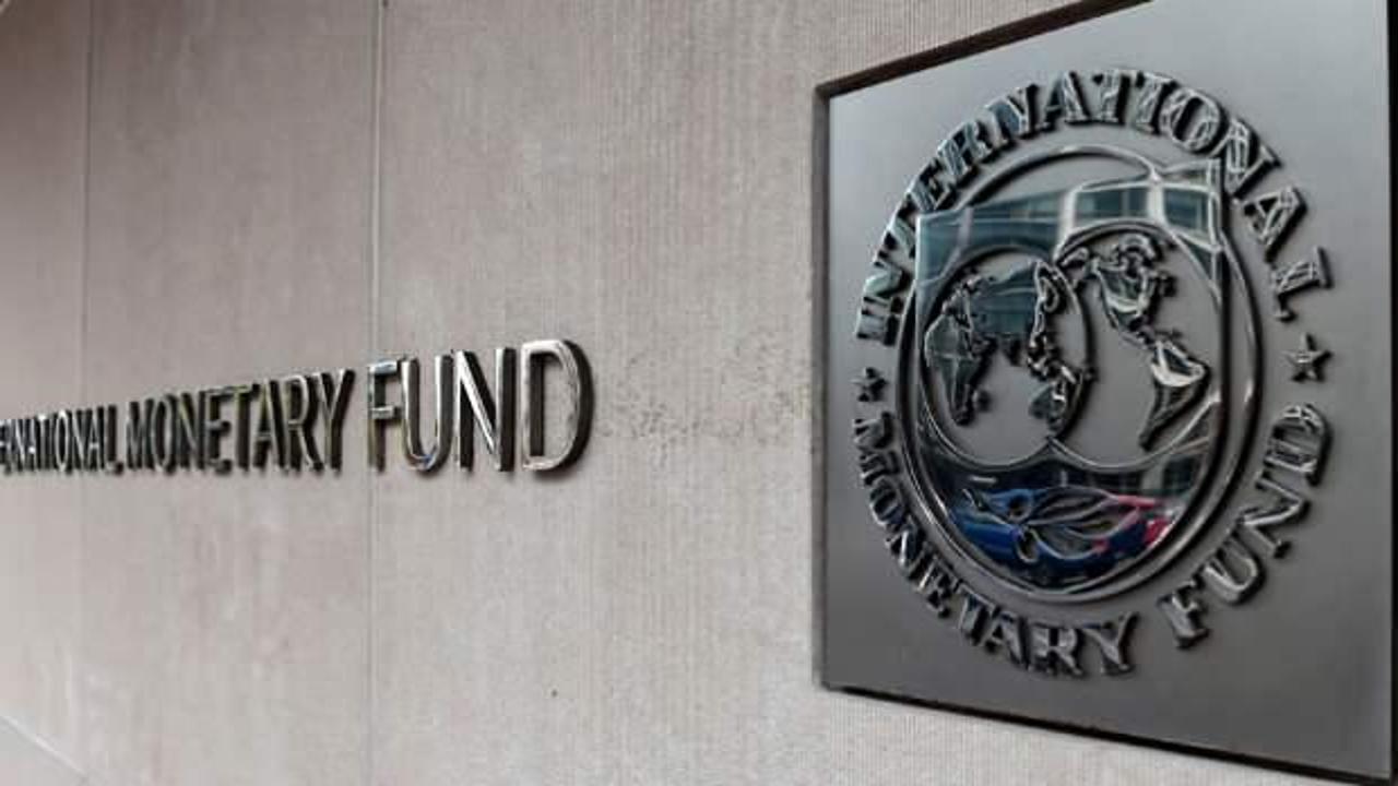 IMF'den özel kredi uyarısı