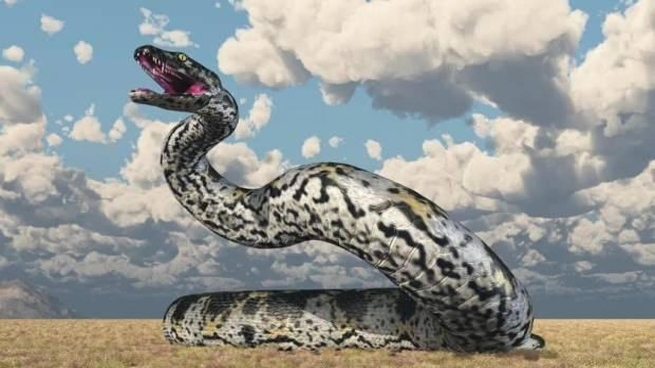 47 milyon yıllık devasa yılan bulundu