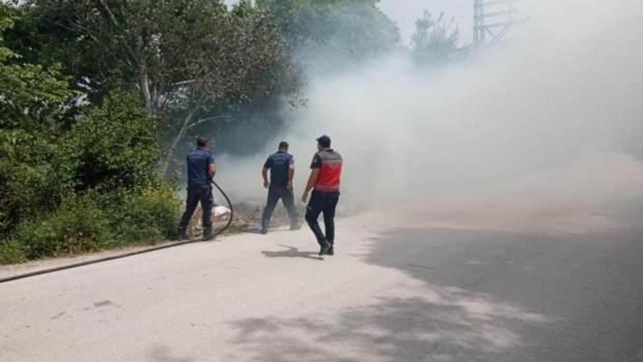Defne'de ağaçlık alanda çıkan yangın söndürüldü