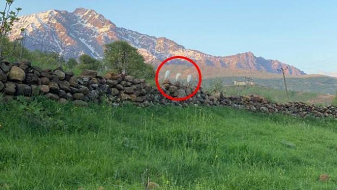 Hakkari'de ilk kez g&ouml;r&uuml;l&uuml;yor, k&ouml;yl&uuml;ler şaşırdı