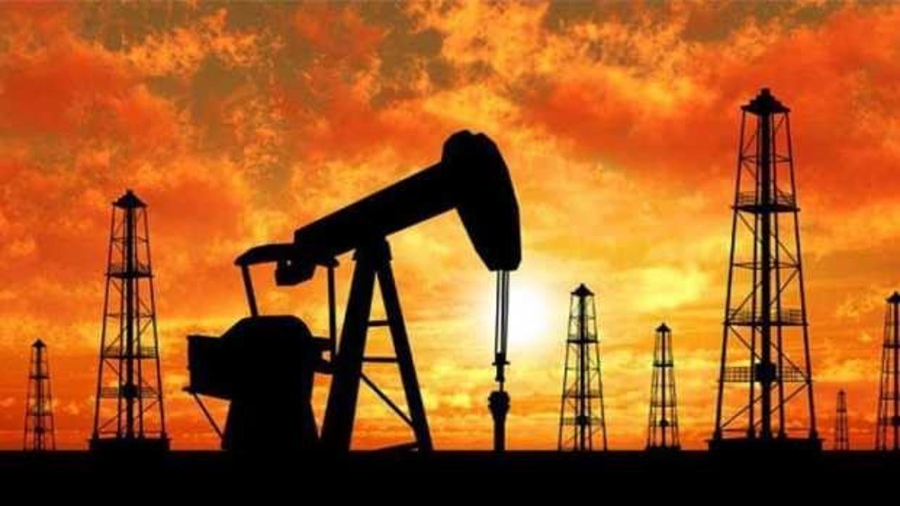 Türkiye'nin petrol ithalatı şubatta yüzde 11 arttı