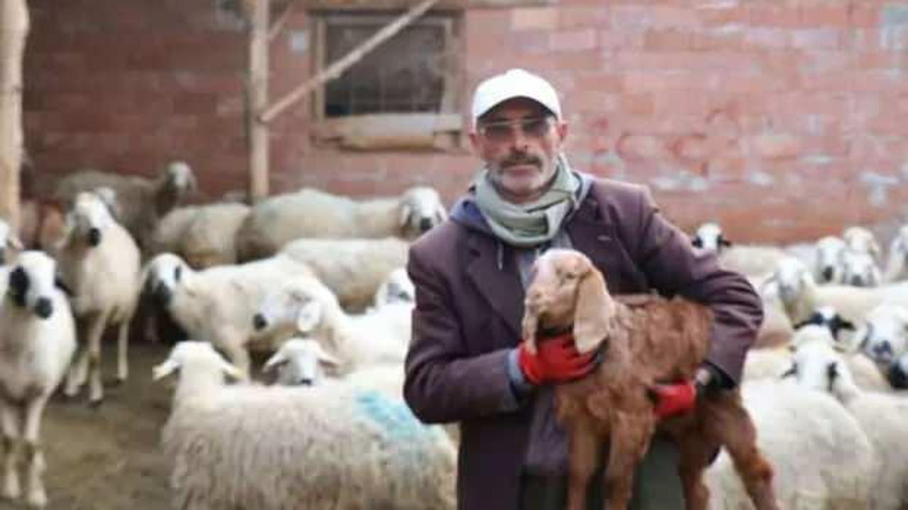 Yazdığı şiirle se&ccedil;ime damga vurmuştu! Reyting rekorları kıran diziye dahil oldu