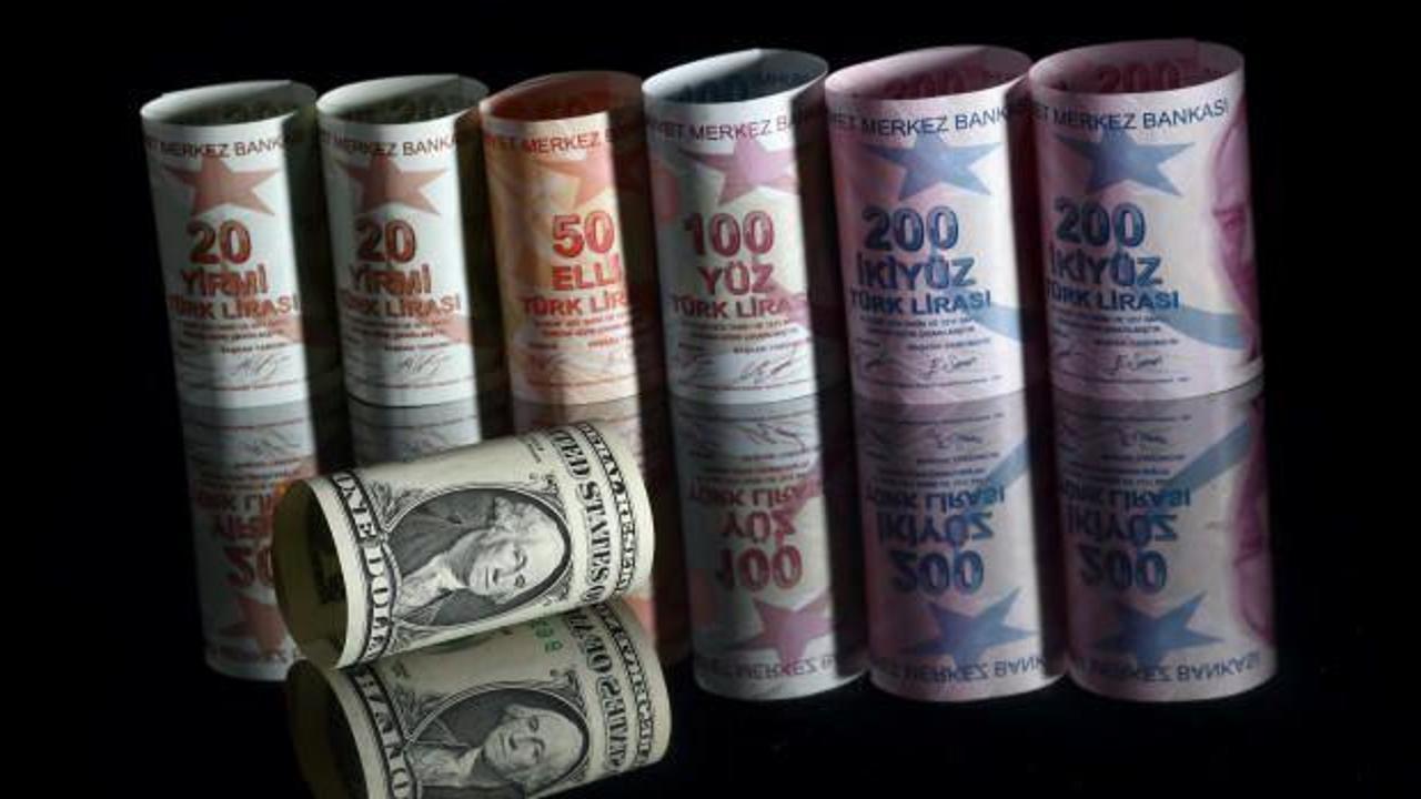 ABD bankasından dolara karşı T&uuml;rk Lirası tavsiyesi