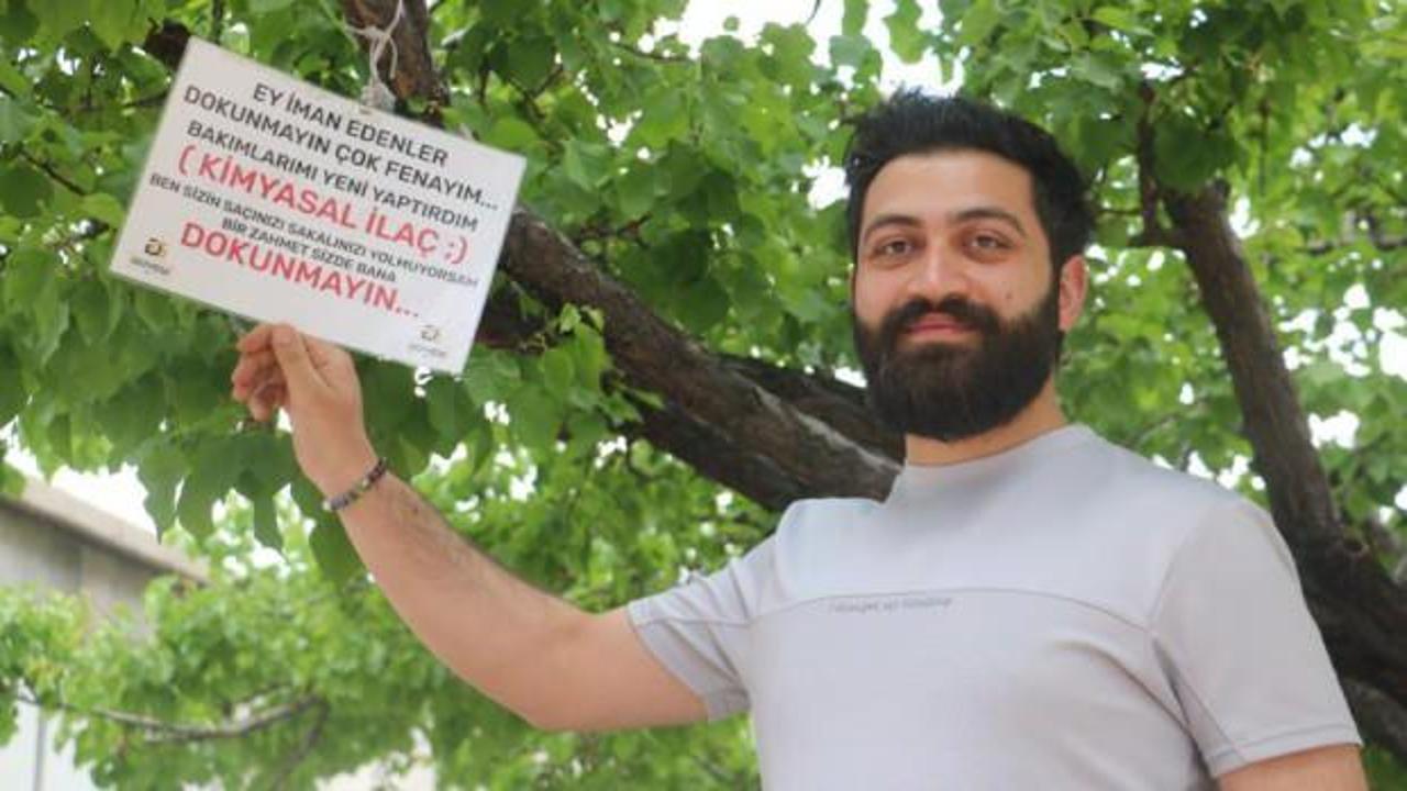 Baba yadig&acirc;rı ağaca &ouml;yle bir not astı ki g&ouml;renler şaşıp kaldı