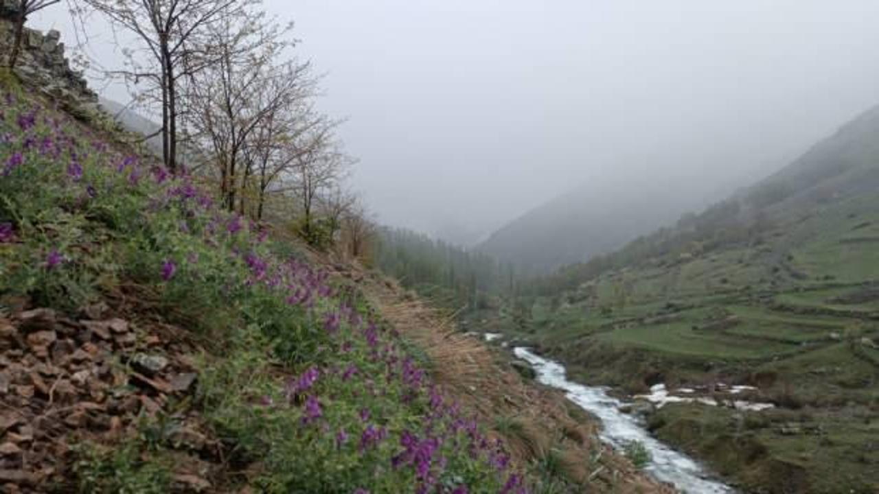 Erzurum&rsquo;da mayıs ayında kar s&uuml;rprizi