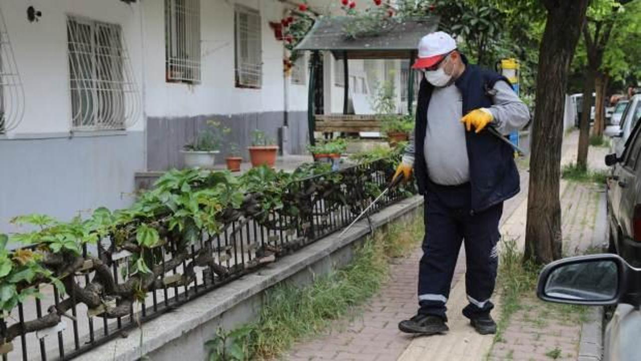 Gaziantep'te haşerelere karşı 165 bin noktada ilaçlama yapılıyor