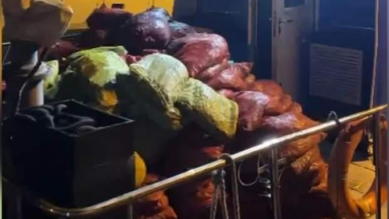 Tuzla'da TIR'a yüklü 8 ton midye ele geçirildi