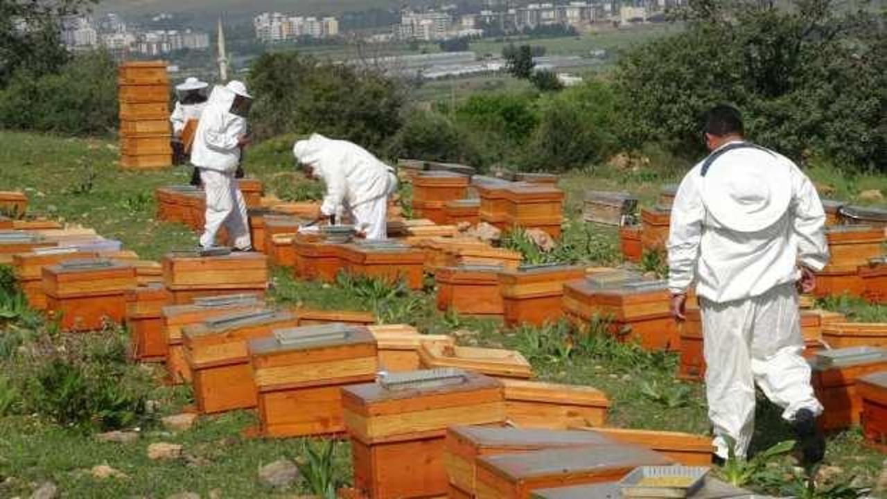 Balın fiyatı 300 liranın altındaysa dikkat!