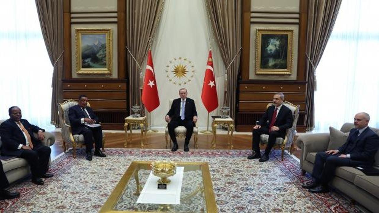 Cumhurbaşkanı Erdoğan, eski Etiyopya Cumhurbaşkanı Wirtu'yu kabul etti