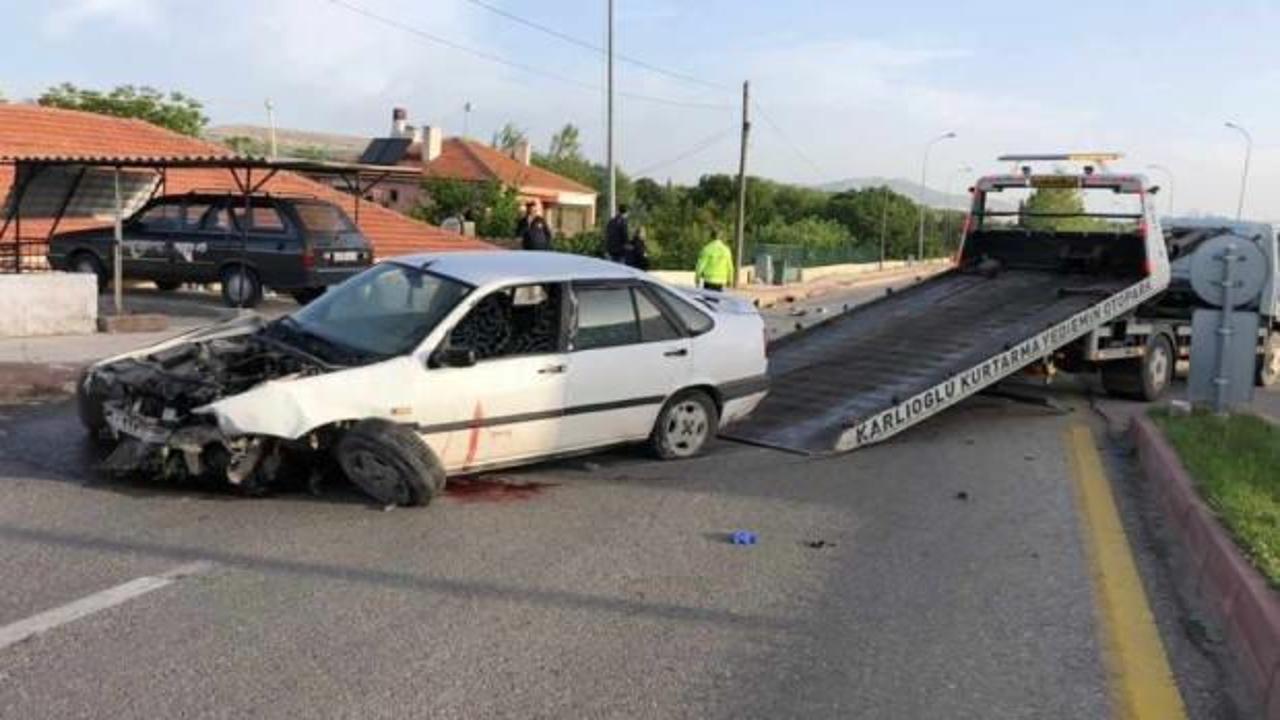 Feci kaza: Köpek, 1 kişinin ölümüne neden oldu