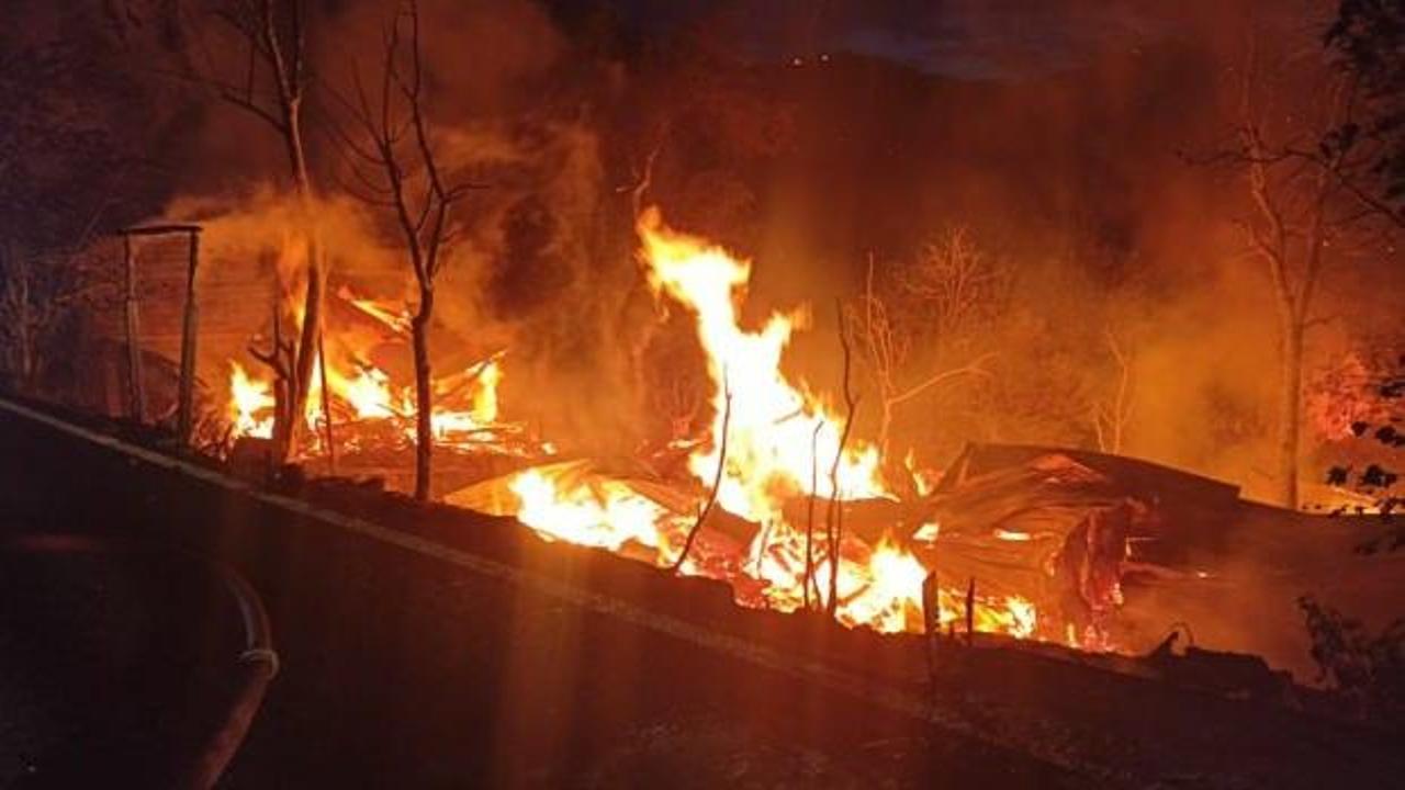 Kastamonu'da soba faciası: 2 ev küle döndü!