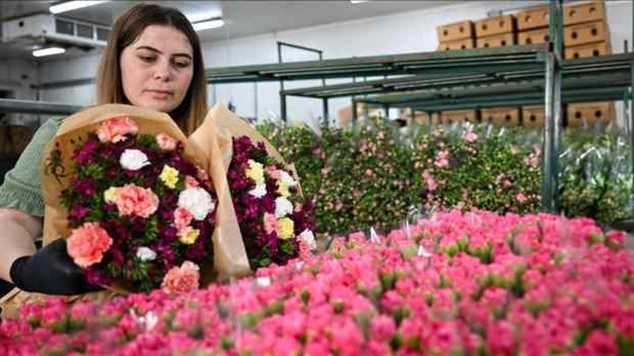Türkiye'den Avrupa'ya 70 milyon dal çiçek ihracatı