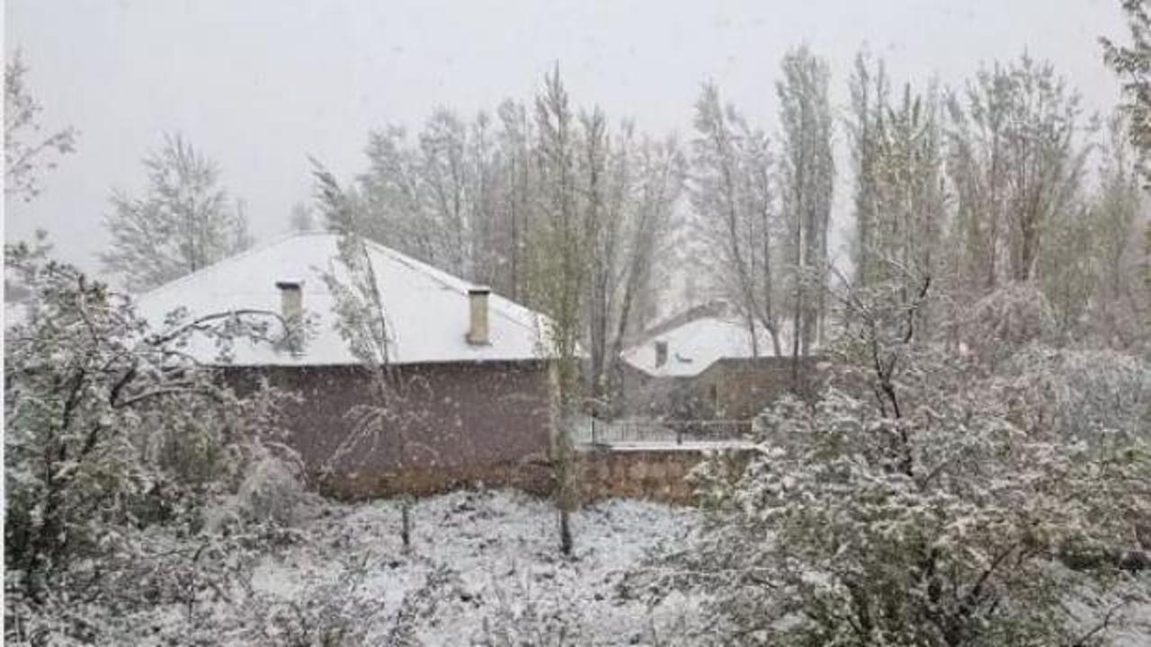 Van mayıs ayında bembeyaz oldu