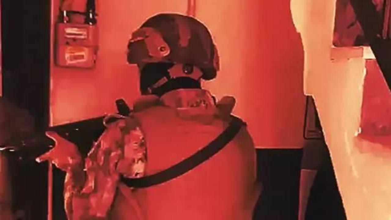 81 ilde '&Ccedil;ember' daraldı! Binlerce g&ouml;zaltı