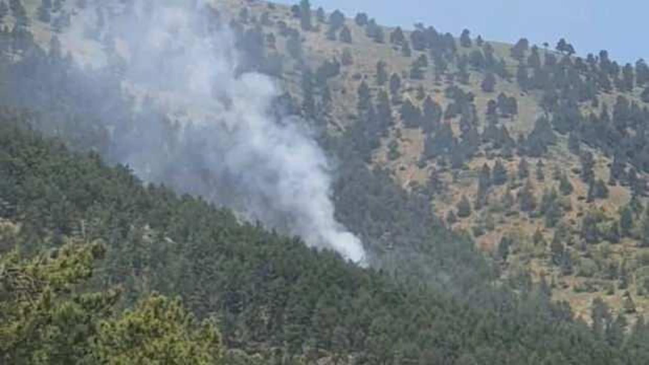 Adana'da çıkan orman yangını kontrol altına alındı