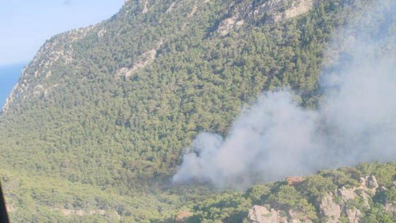 Antalya'da çıkan orman yangını! 2 dönüm alan zarar gördü