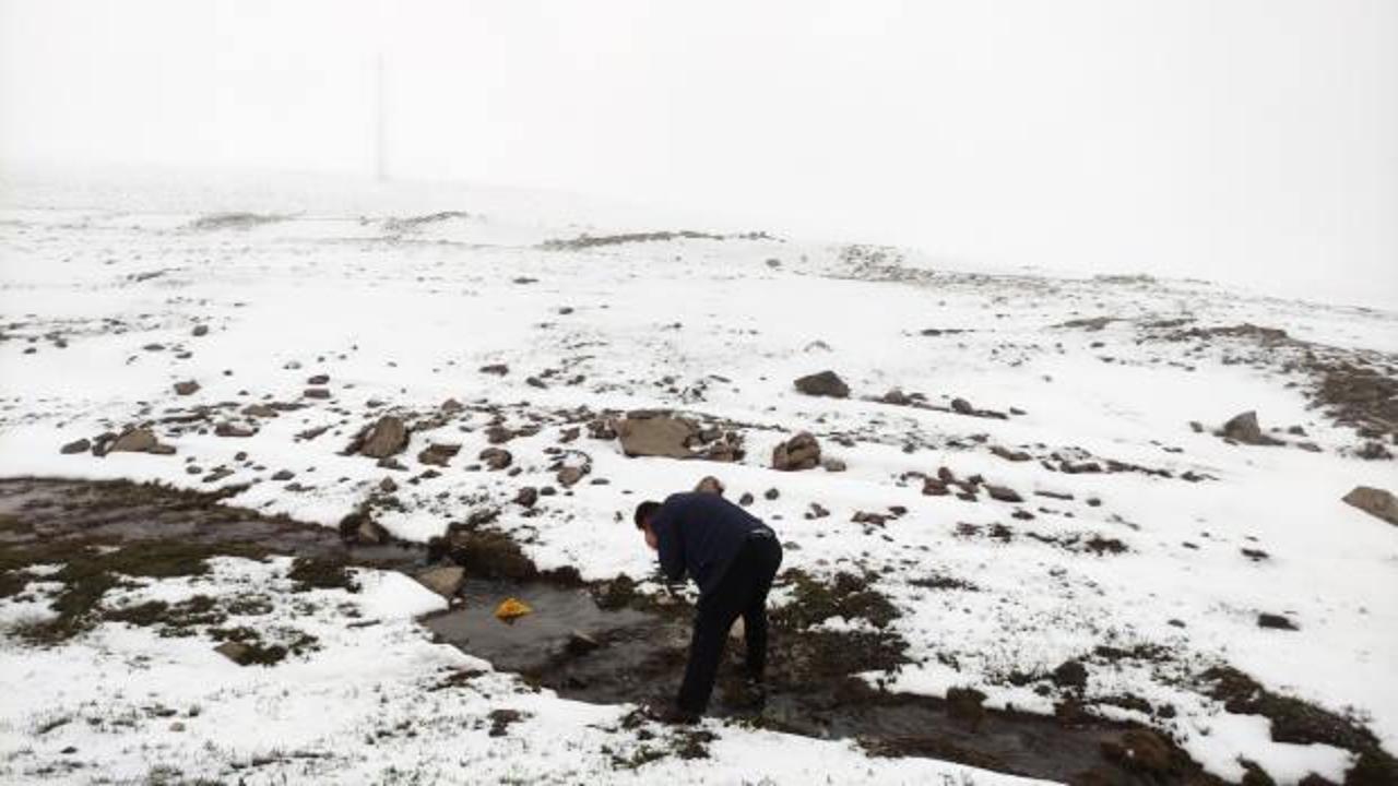 Ardahan&rsquo;da mayıs ayında kar s&uuml;rprizi