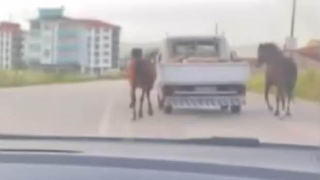 Bursa'da skandal g&ouml;r&uuml;nt&uuml;: Atları araca bağlayıp koşturdu!