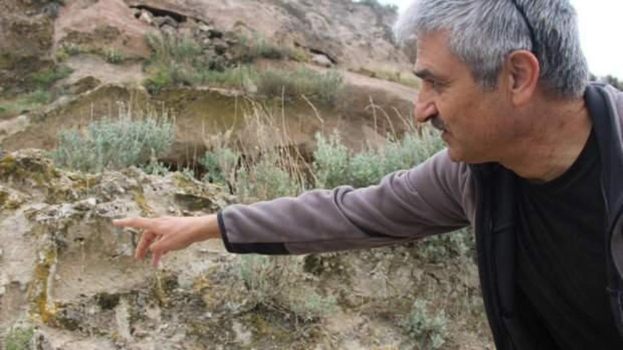 Kayseri'de tarihi keşif: 10 Milyon yıllık orman bulundu