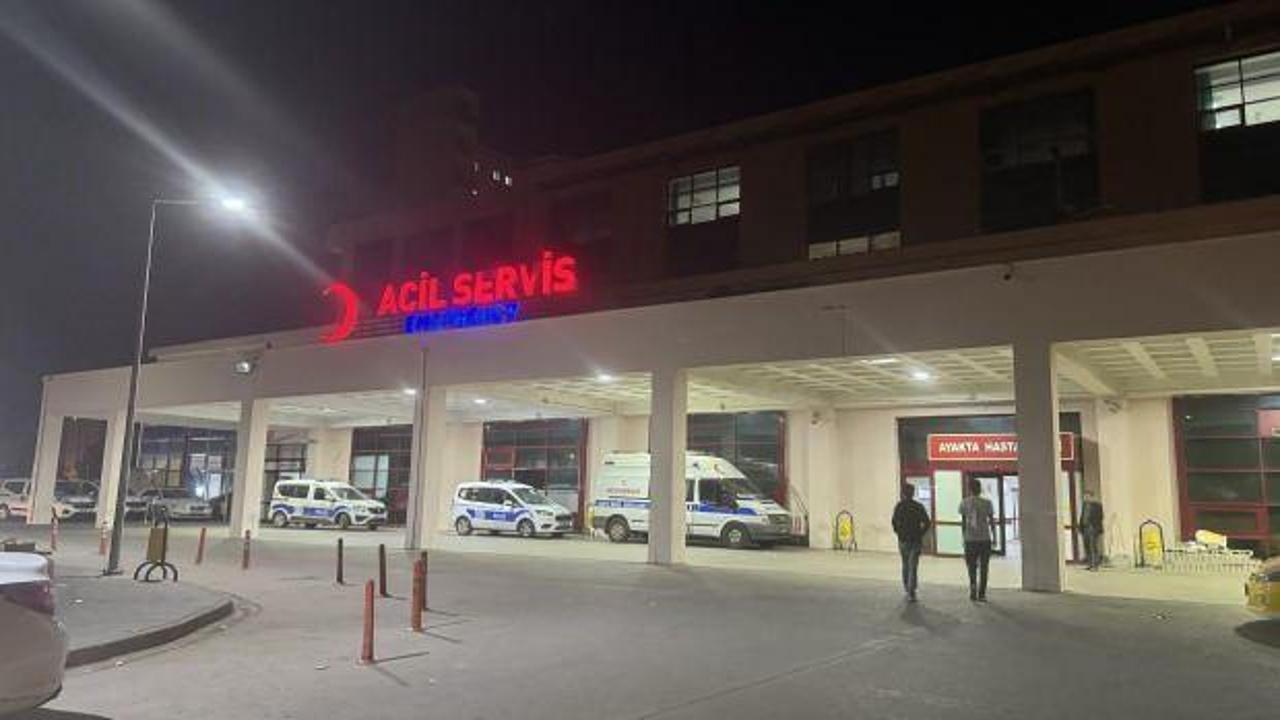 Diyarbakır'da başıboş köpeklerden kaçan genç başını kaldırıma çarptı