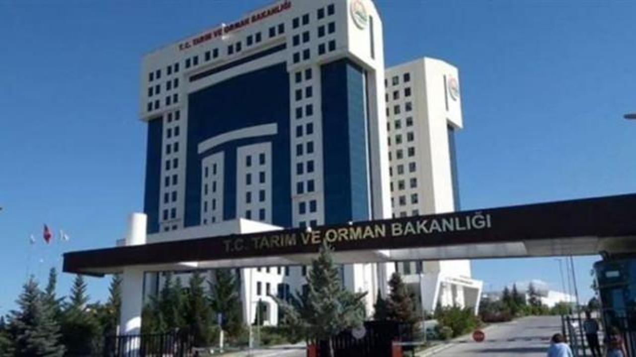 Kuduz hastalığıyla mücadele: Binlerce hektar alana aşılı yem bırakılıyor