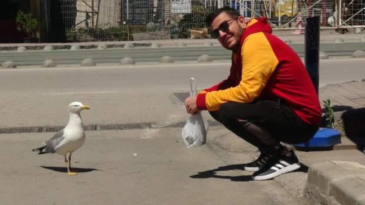 Nereye gitse peşinden gidiyor! Martıyla esnafın g&uuml;ld&uuml;ren dostluğu