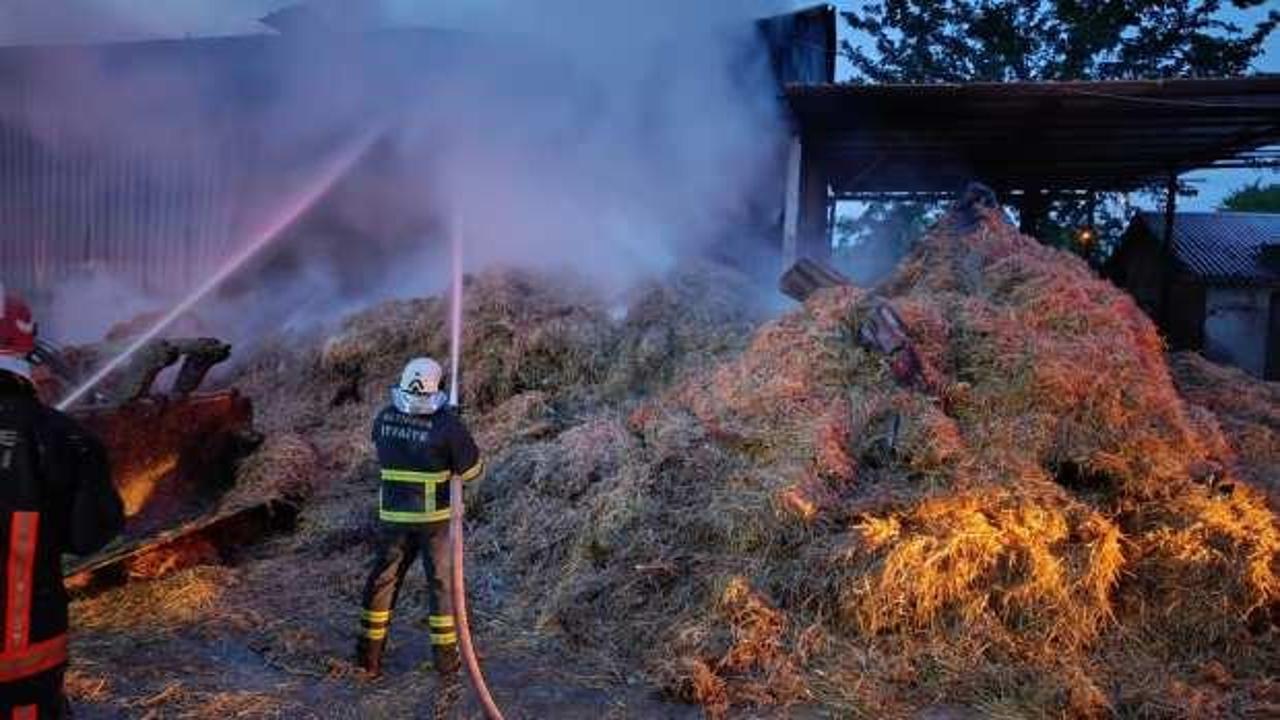 Yalova'da yangın: Maddi hasar meydana geldi!