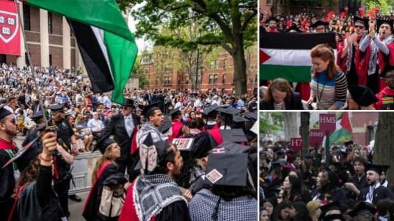 Harvard Üniversitesi'nde Filistin'e destek eylemi